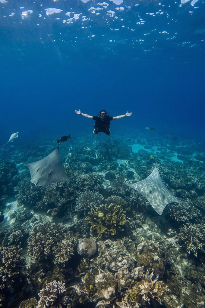 Maldives Atolls Diving Paradise